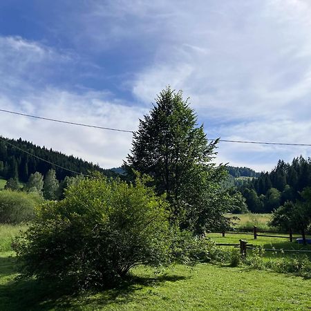 Drewniany Domek Bb Nad Rzeka Powrożnik Buitenkant foto