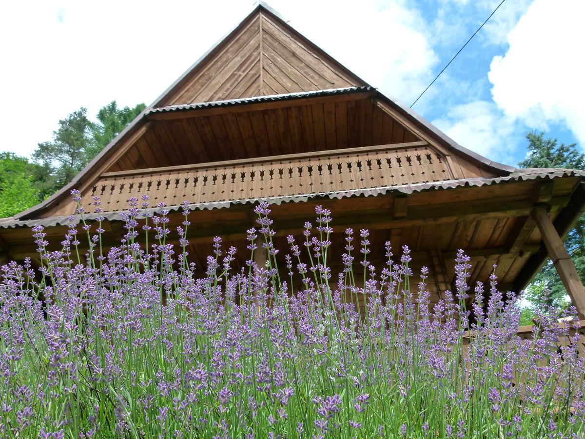 Drewniany Domek Bb Nad Rzeka Powrożnik Buitenkant foto